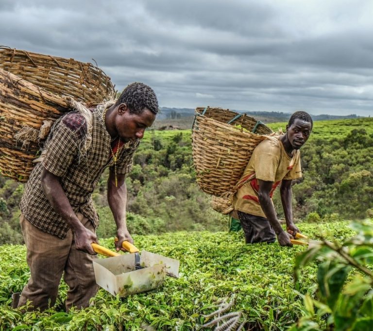 Grant Opportunities: Pitch AgriHack 2022: Digital Agriculture Competition