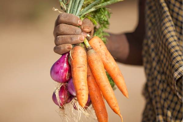 Grant Opportunities: Global Agrifood Techpreneur Programme – fundsforNGOs