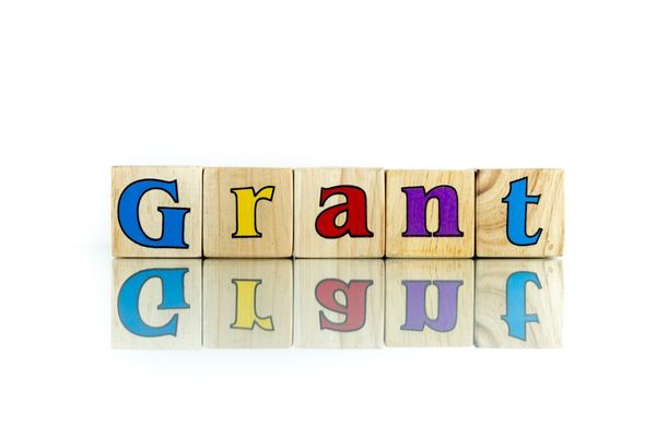 Grant Opportunities: Mérieux Foundation’s Small Grants Program: Receive Financial Support