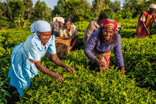 Grant Opportunities: Women In Africa announces Women for Zero Hunger Program