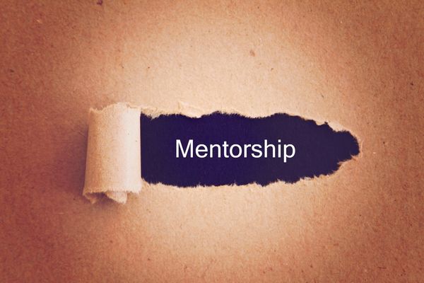 Grant Opportunities: WFA Mentorship Program – Apply Now!