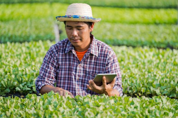 Grant Opportunities: 2023 Japan International Award for Young Agricultural Researchers