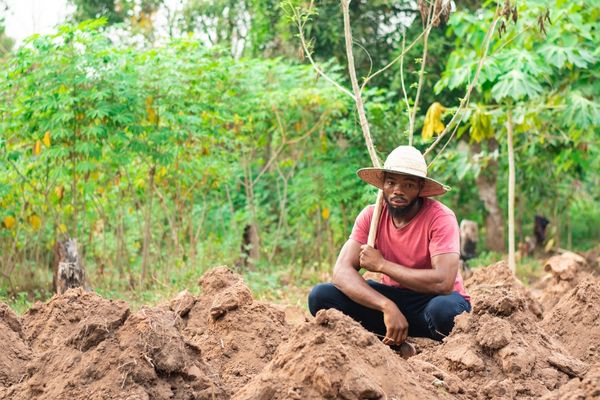 Grant Opportunities: WFP’s Agricultural Innovation for Climate Resilience Programme: Up to US $150,000 in equity-free Funding