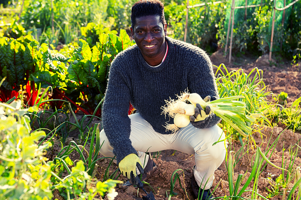 Grant Opportunities: New England Biolabs Foundation: Summer Grants Round