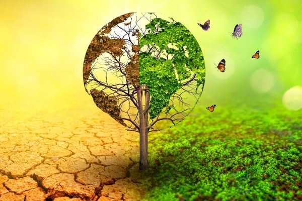 Grant Opportunities: MFMC Grants to Support Advocates of Climate Change Mitigation