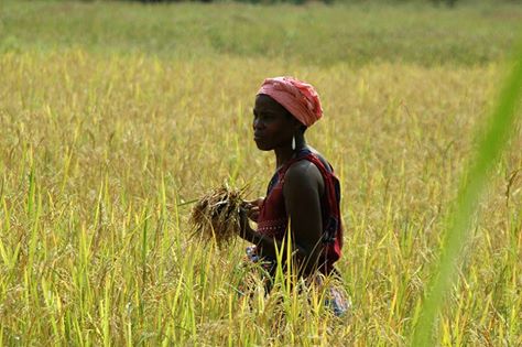 Grant Opportunities: Applications Now Open for AGRA’s 2023 VALUE4HER Women Agripreneurs of the Year Awards