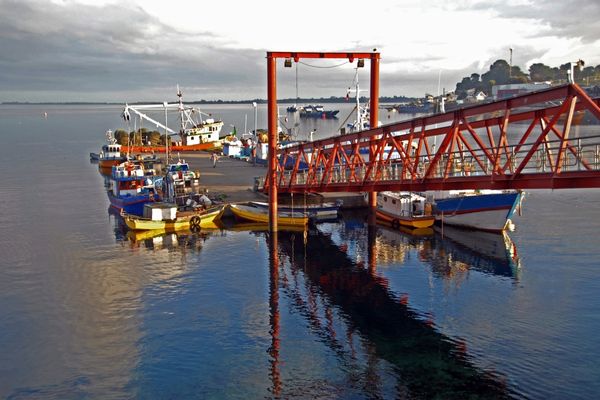 Grant Opportunities: Leadership for Climate-Resilient Fisheries Fellowship