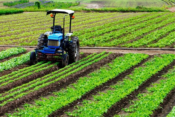 Grant Opportunities: Nominations Now Open for the Norman Borlaug Field Award