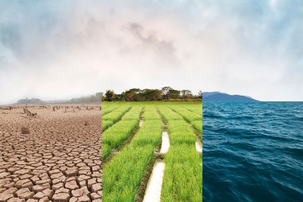 Grant Opportunities: Climate Resiliency Challenge: A Call for Bold, Innovative Solutions