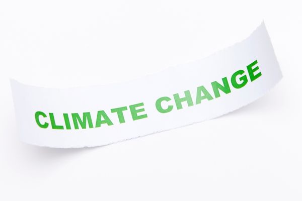 Grant Opportunities: Google for Startups Accelerator: Climate Change Program