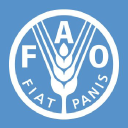 UN Jobs: FAO – Office Associate